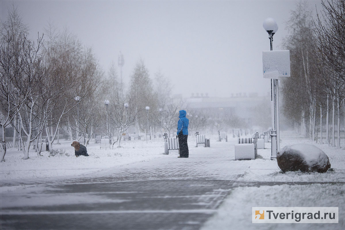 весна снегопад (3)