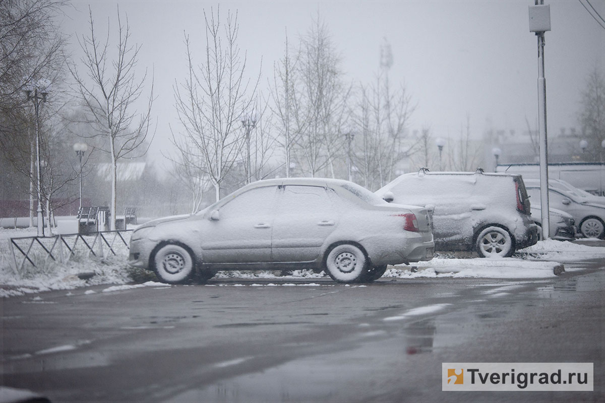 весна снегопад (4)