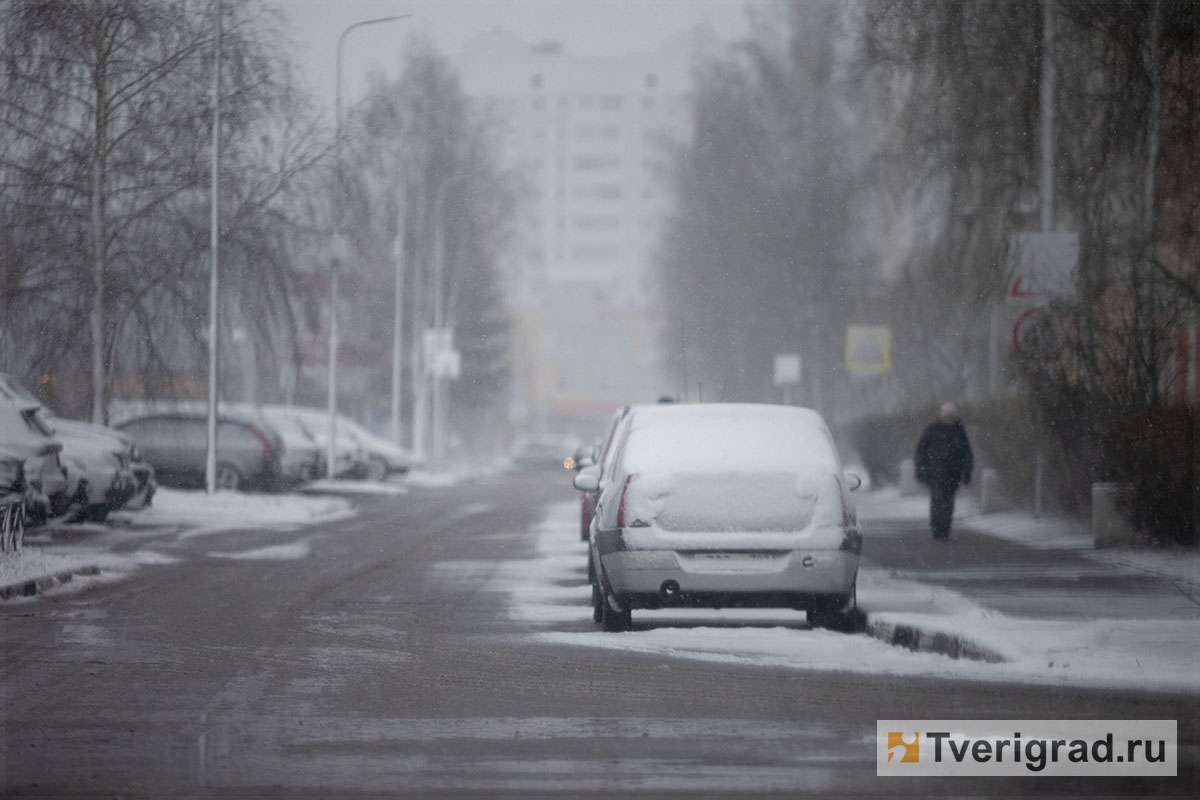 весна снегопад (5)
