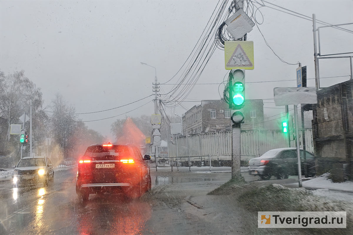 весна снегопад (6)