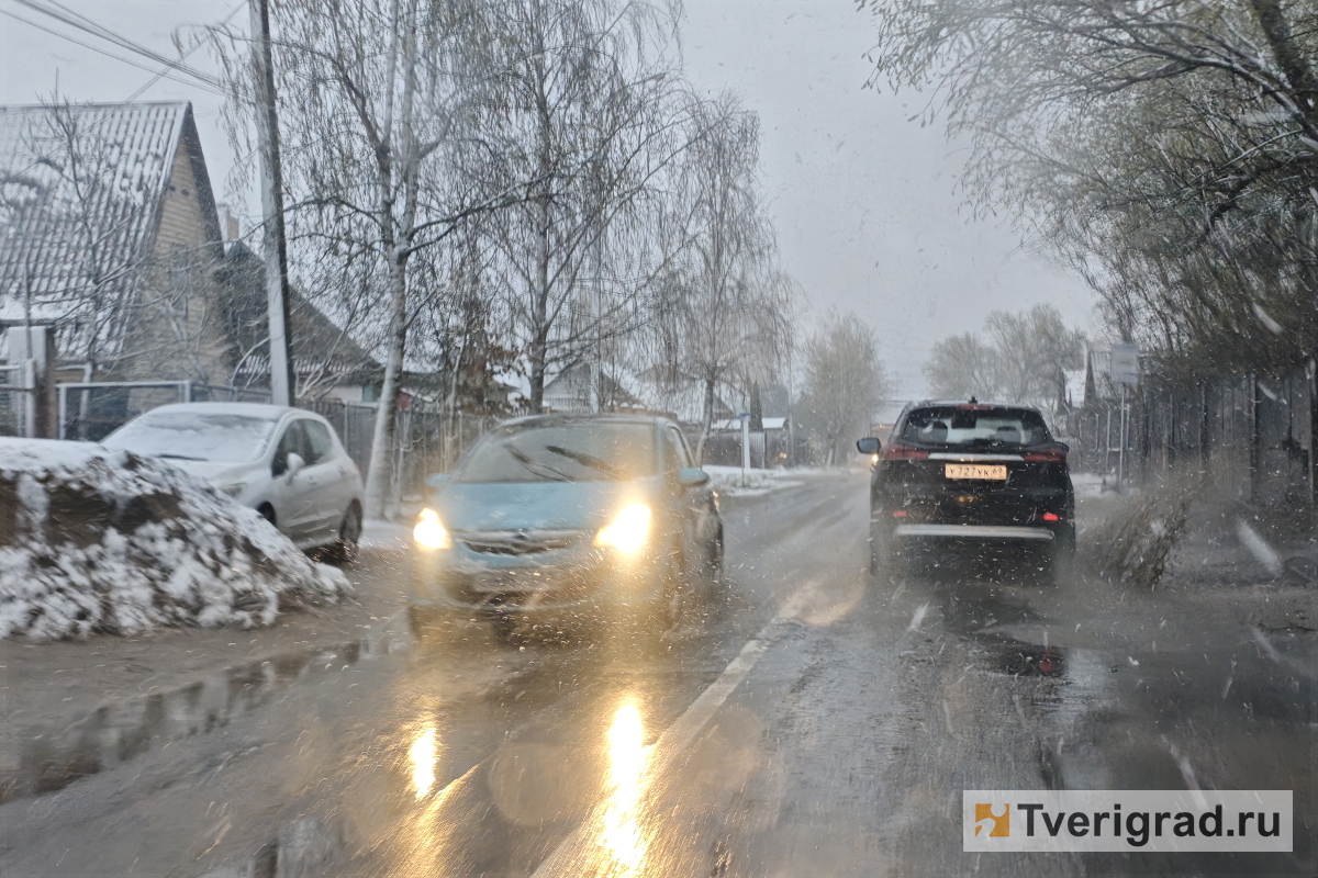 весна снегопад (7)