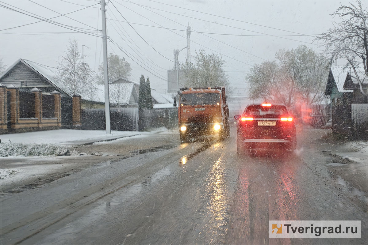 весна снегопад (8)