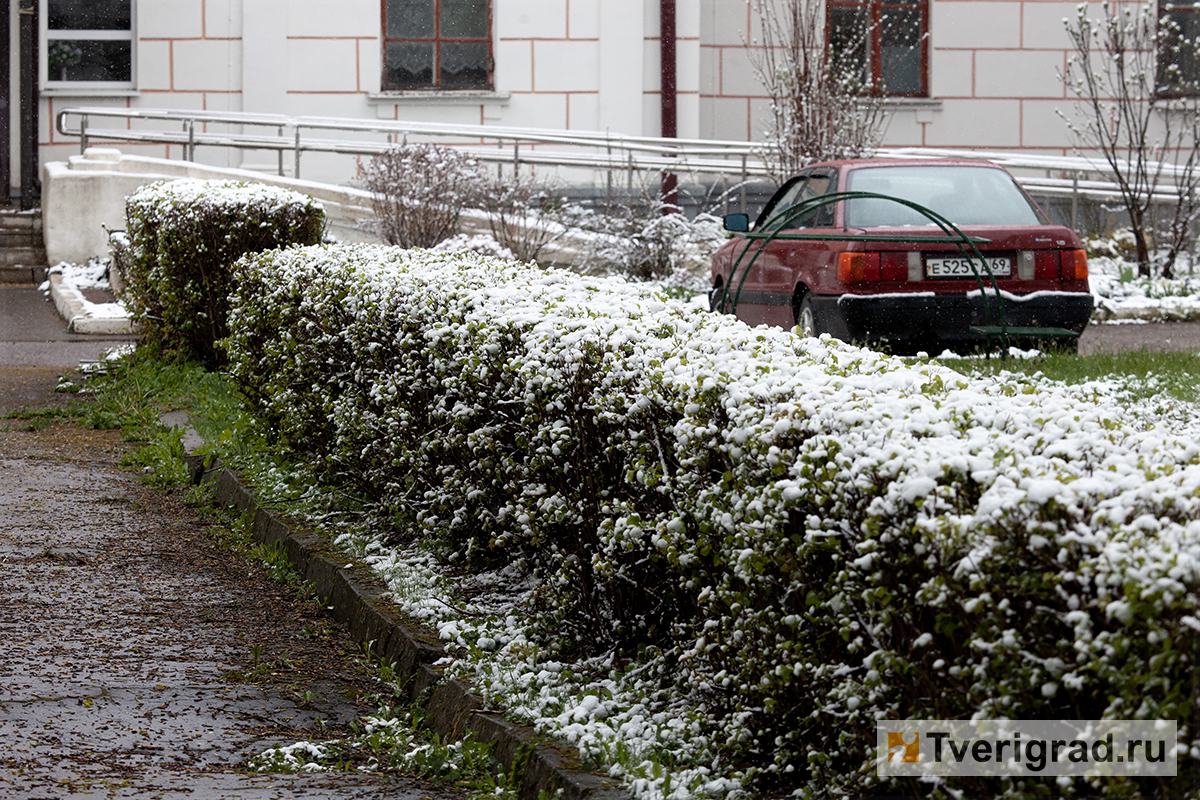 весна снегопад (9)